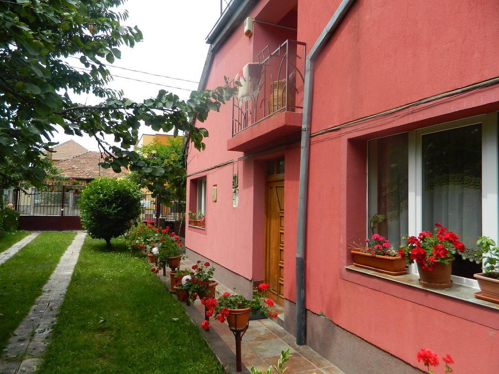 Cazare Vio Hotel Cluj-Napoca Exterior photo